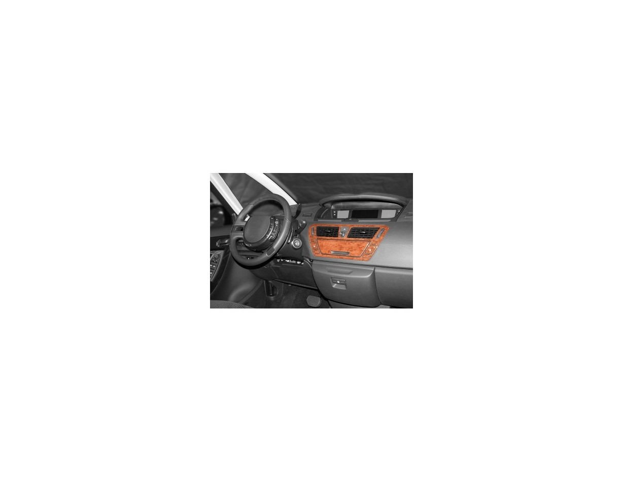 Citroen C4 Picasso 10.2006 Kit Rivestimento Cruscotto all'interno del veicolo Cruscotti personalizzati 9-Decori