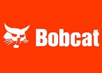 Bobcat